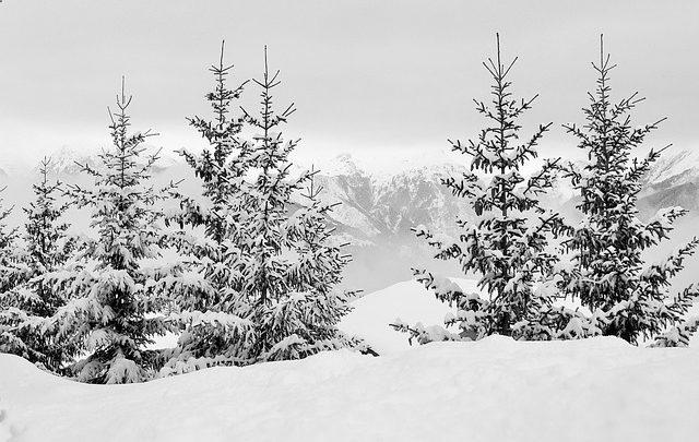 Où partir en février ? Vacances au ski dans les Alpes